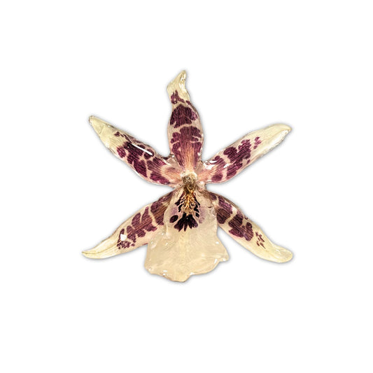 Fiona Orchid Necklace